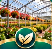 Plants growing inside a greenhouse