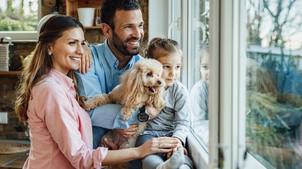 Pet Insurance Survey